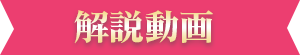 解説動画